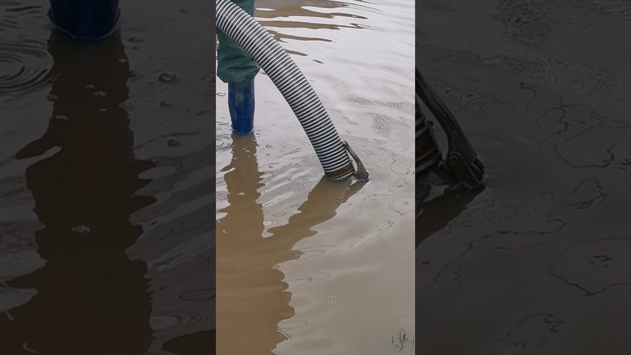 VIDANJA... ÎNCĂ PLOUA!