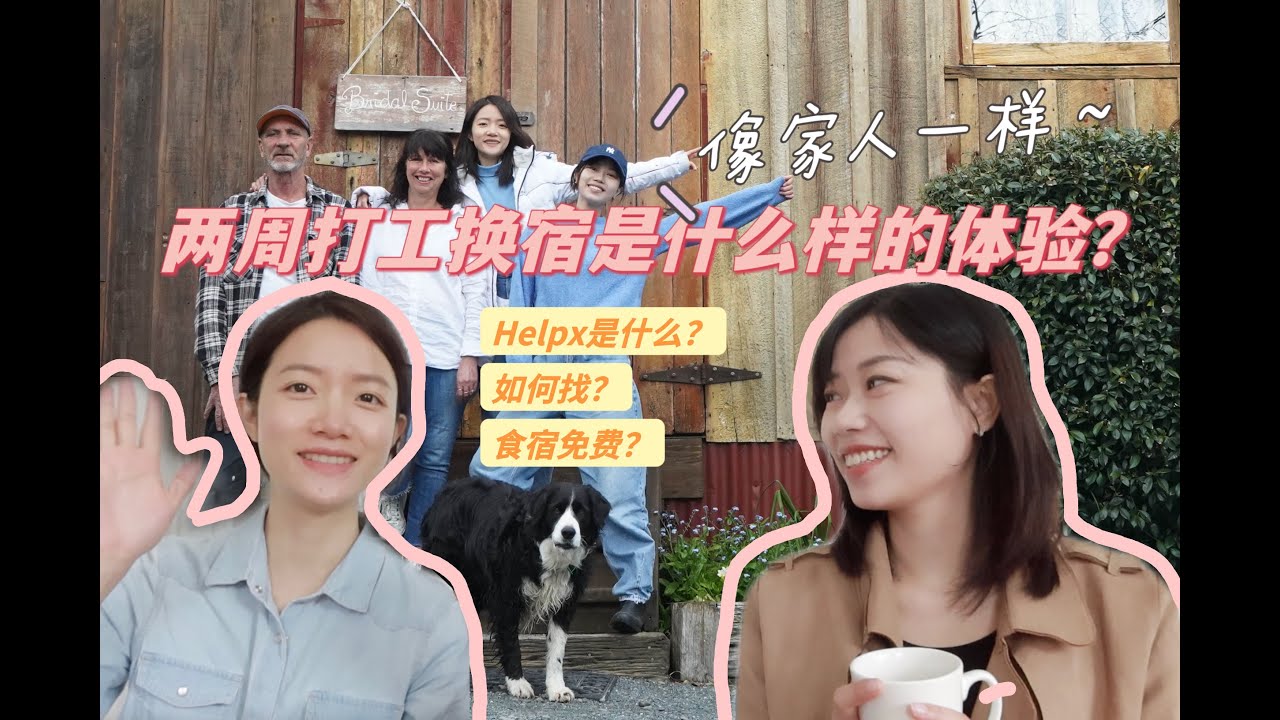 新西兰两周打工换宿是什么样的体验？｜最完美体验异国文化的方式