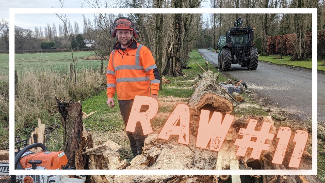 (RAW) Josh's Hollow Lombardy Poplar [UK Tree Work]