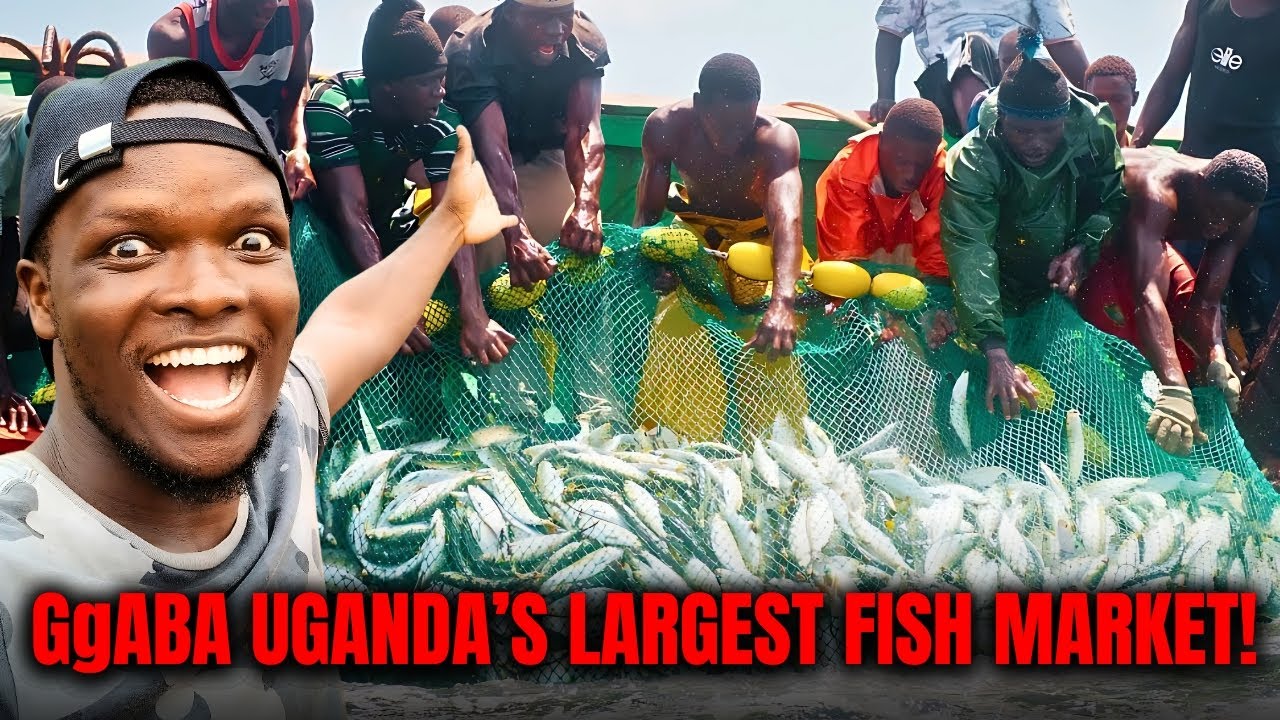 Это крупнейший рыбный рынок Уганды: экскурсия по рынку Ггаба!