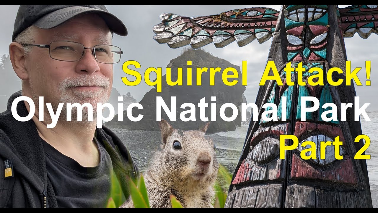 Olympic Wonderland 2025 part2