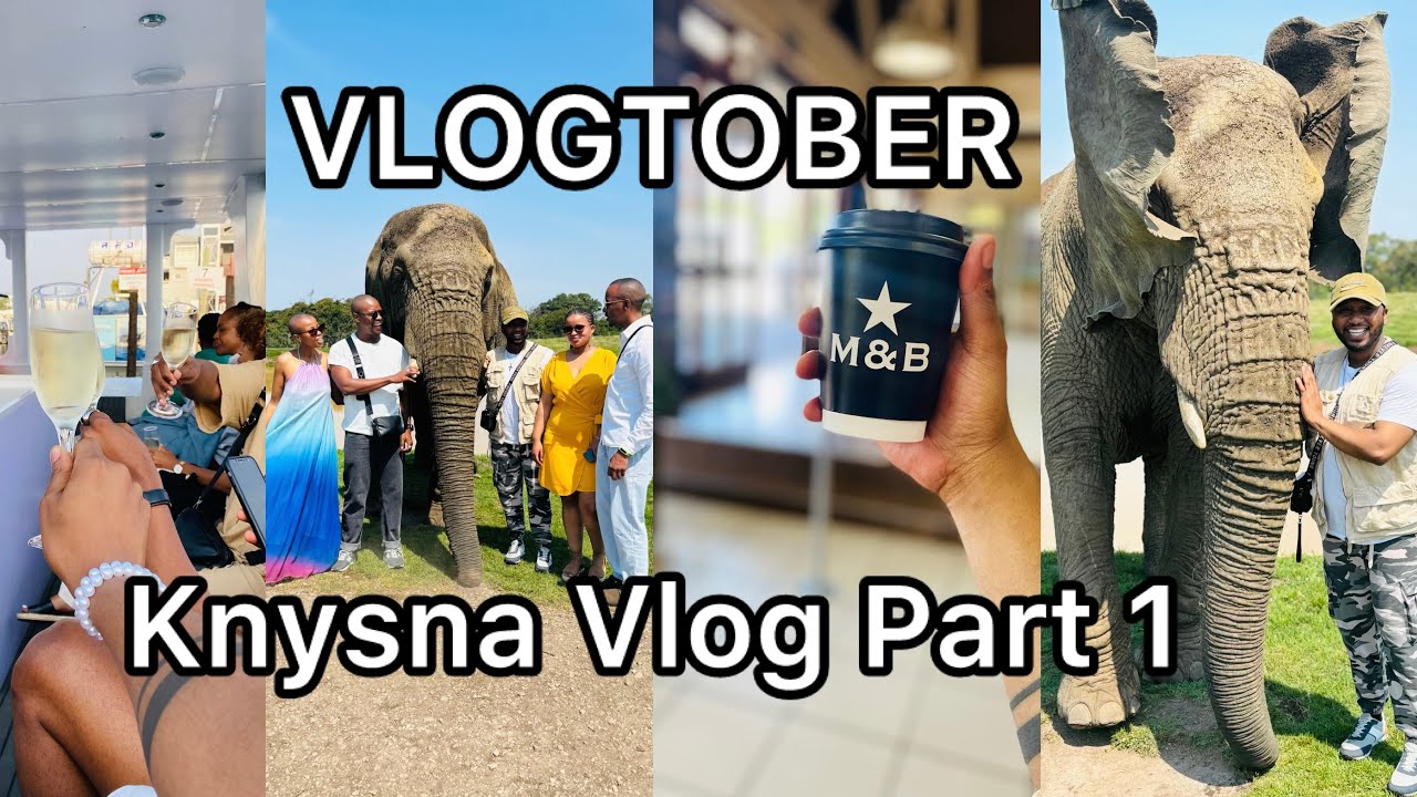 VLOGTOBER: Knysna Vlog Part 1 || Elephant Sanctuary || Boat Cruise || Vacationing With Friends