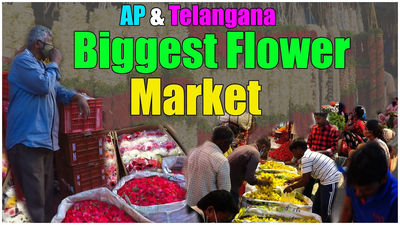 biggest flower market in hyderabad | Ap & telangana Wholesale Flower Market in Hyderabad | flowers
