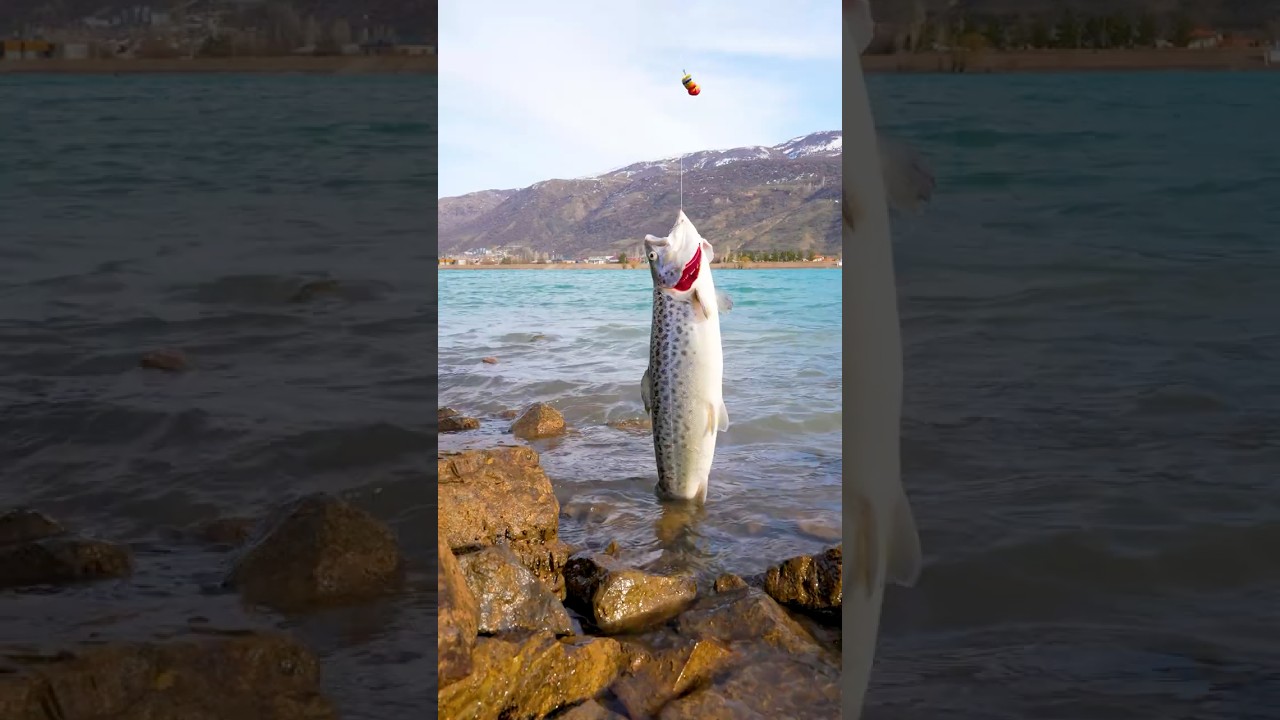 Барбекю и Шашлык из рыбы 🔥