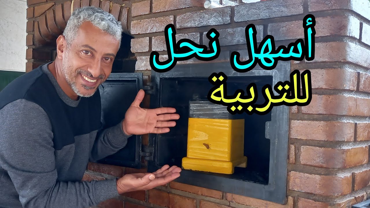 النحل الغير لاسع🐝نقل الخليه من فرن الحطب