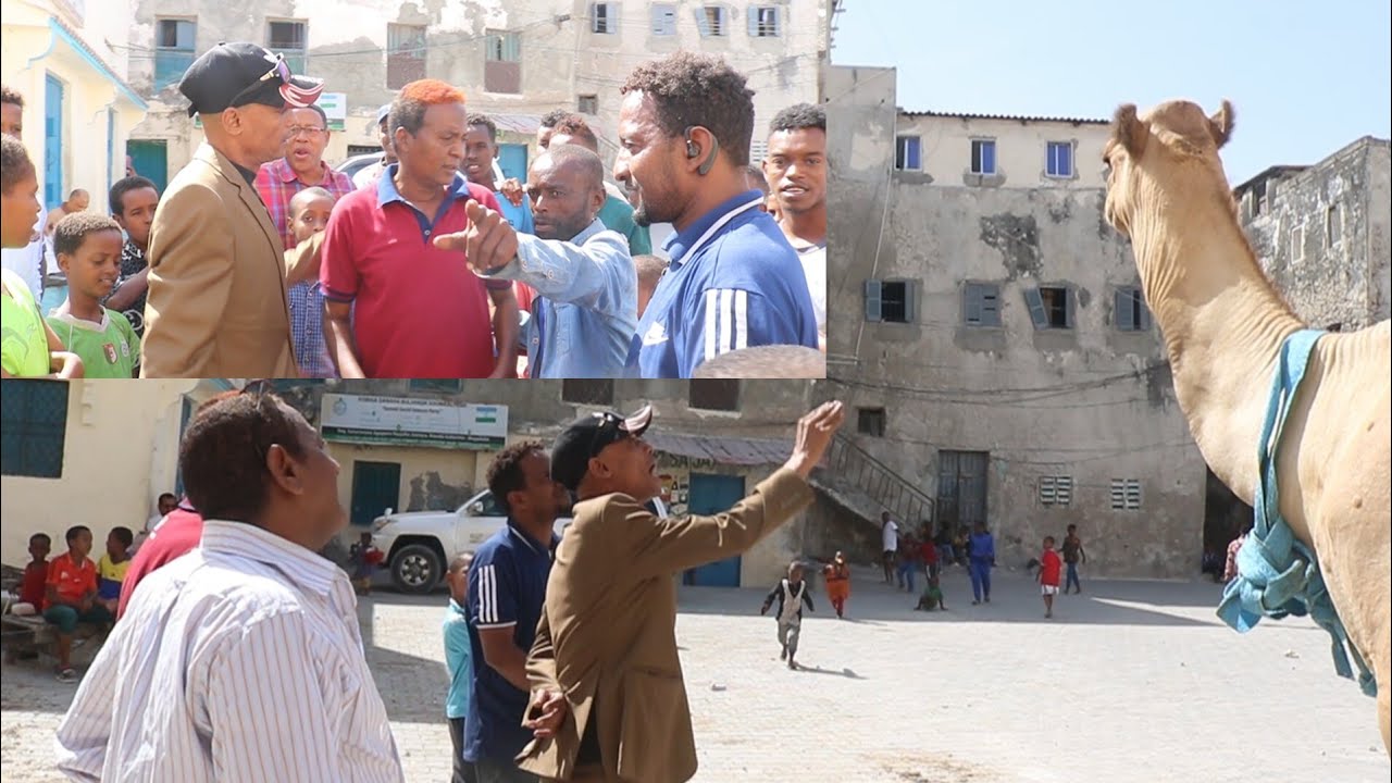 PART 2 ||  SHEEKADII AAMINA JEEKEY IYO FOODCADDE AWEYS BAAFOW DHEX KALA QABSADAY