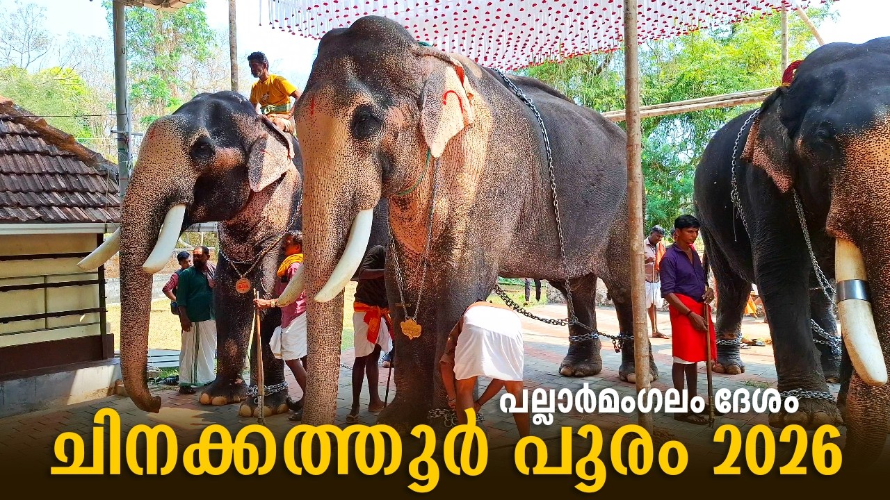 Chinakkathur Pooram 2026 | Kuttankulangara Arjunan Chinakkathur Pooram 2026 | Pallarmangalam Desam