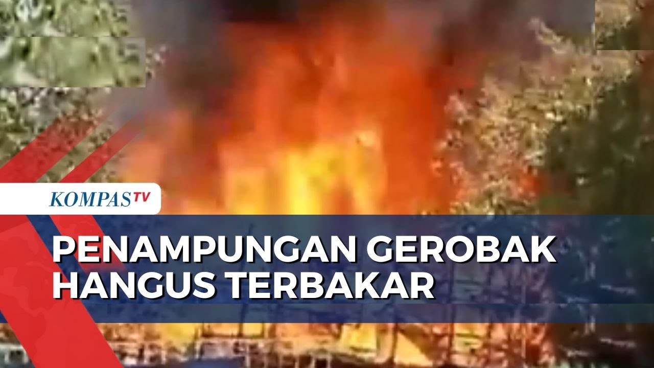 Kebakaran Melanda Penampungan Gerobak di Kramat Jati, 14 Unit Mobil Damkar Diterjunkan