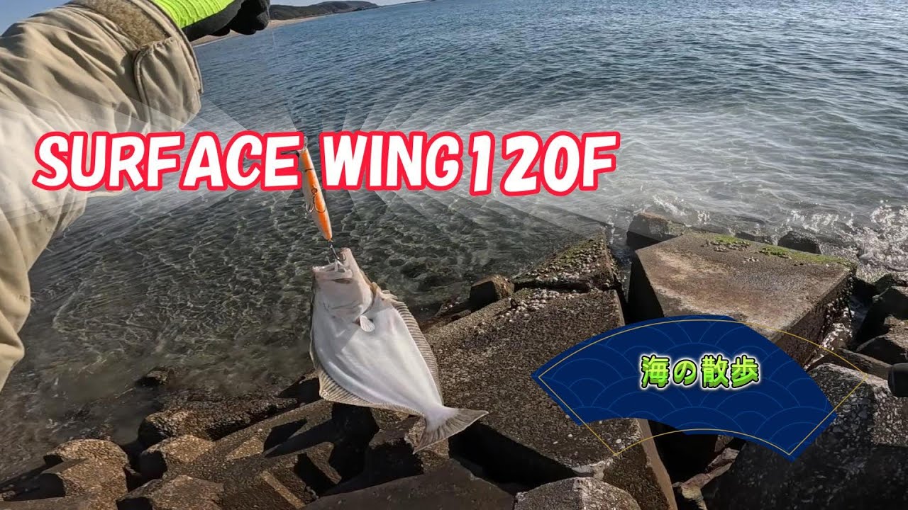 【ヒラメ釣り】好きなミノーと歩く