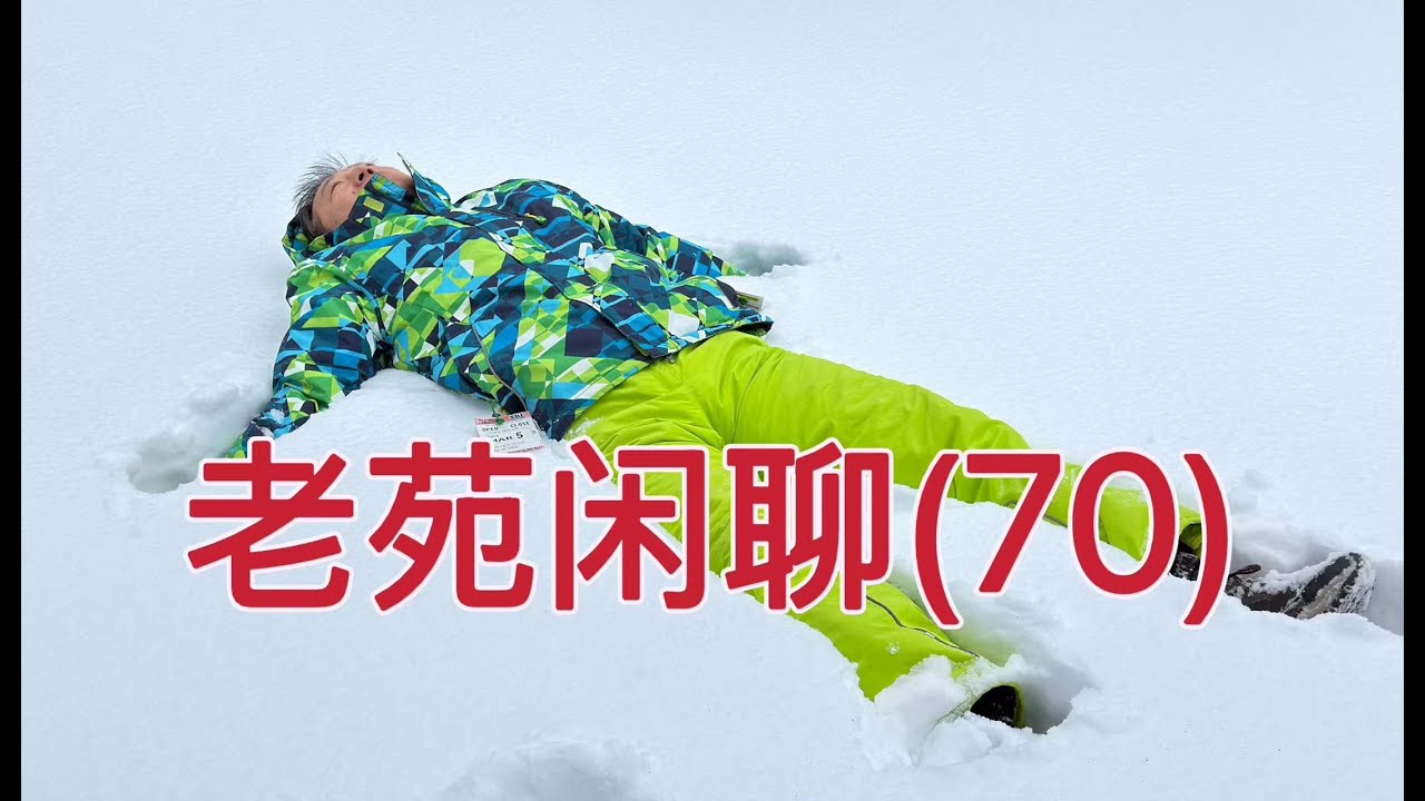 老苑闲聊70，周五史诗级的市场震荡，聊聊美国生活，回答大家问题