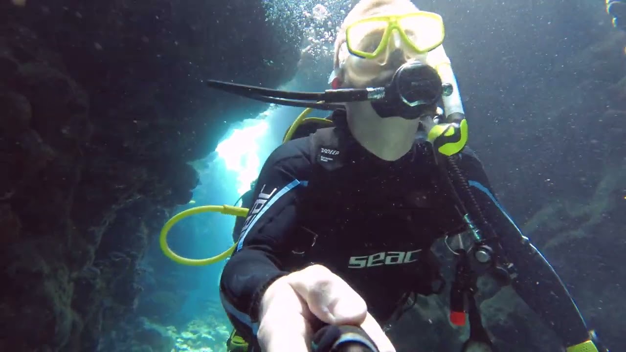 Nurkowanie w Egipcie (Dolphin House) [2022.06.18]