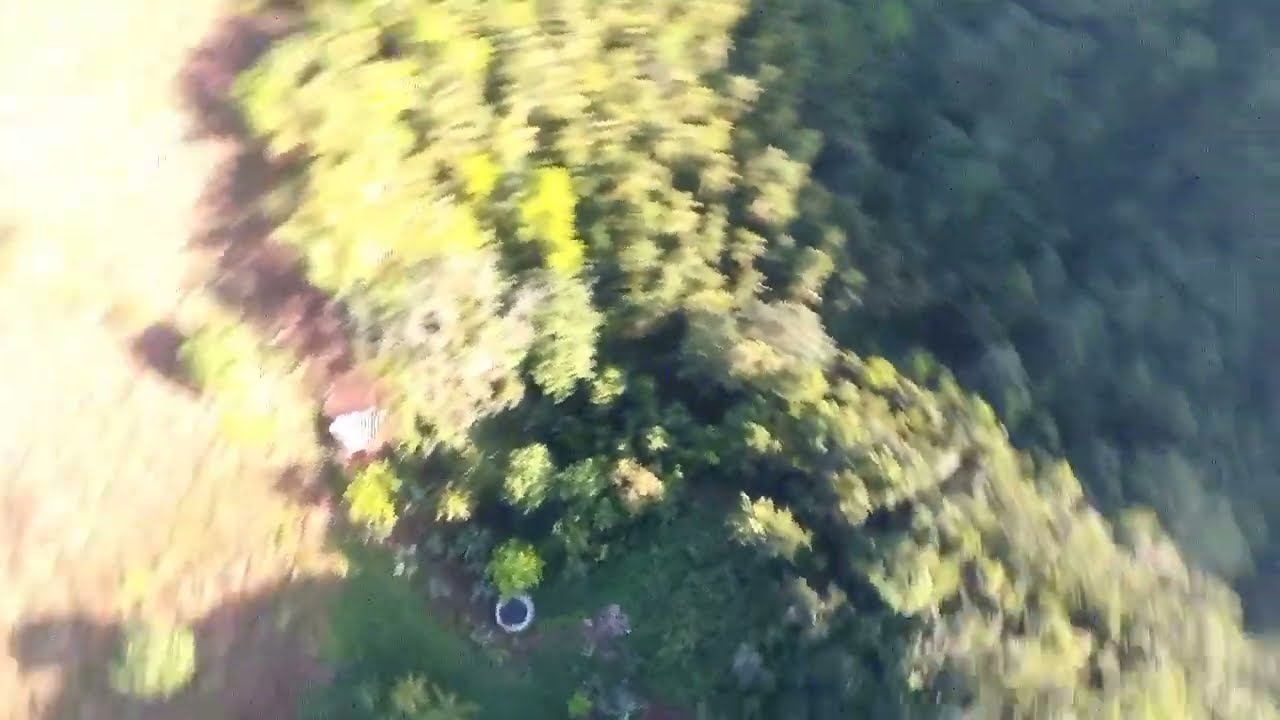 somewhere in Jamaica 🇯🇲  , St.Elizabeth #dji #streamlive #jamaica #live