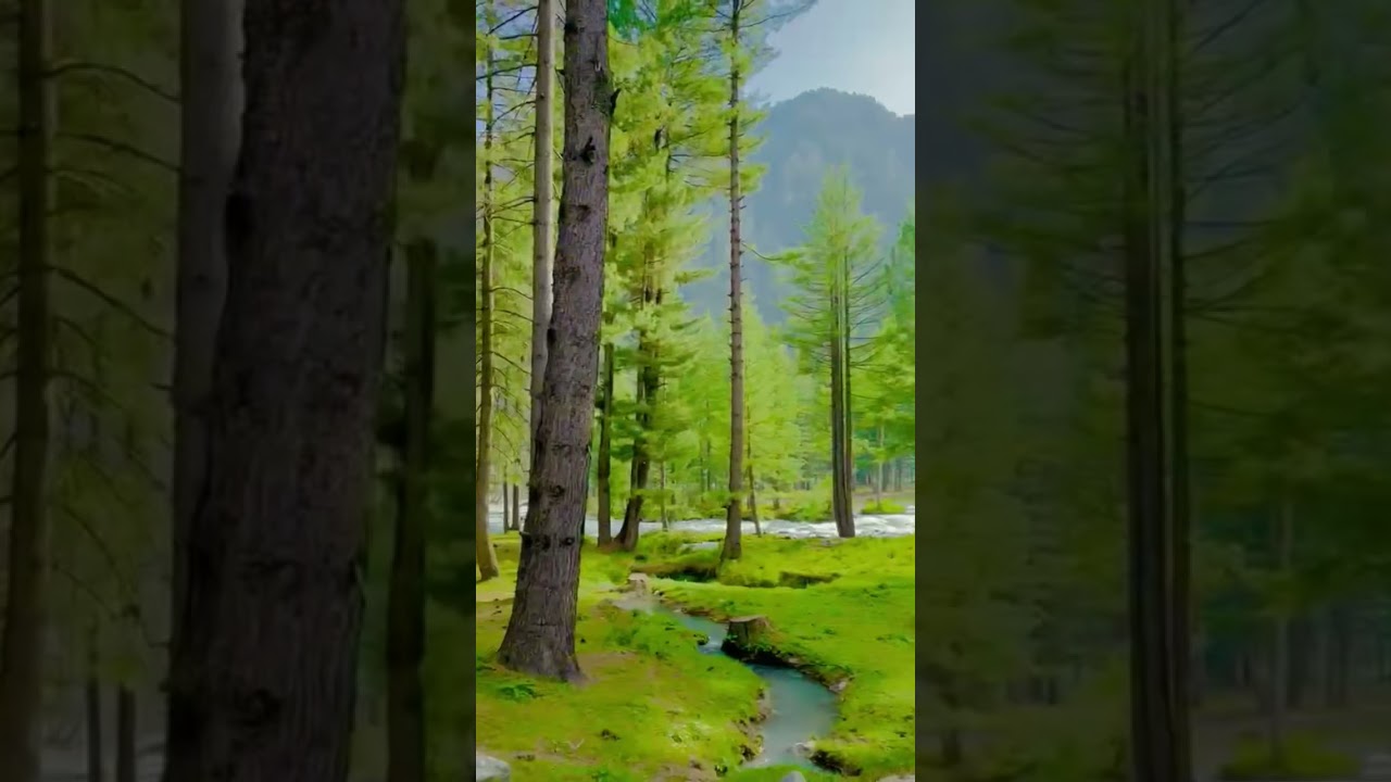 Kumrat Valley Upper Dir Kohistan Pakistan Fresh video 4k