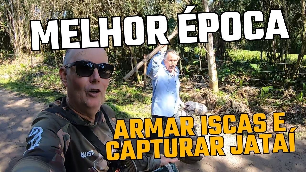 400- QUAL É A MELHOR ÉPOCA PARA CAPTURA DE ABELHAS JATAÍ E OUTRAS ABELHAS SEM FERRÃO?