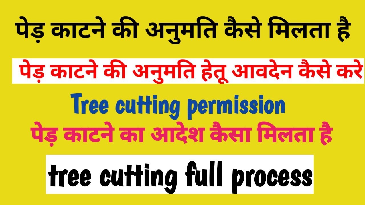 पेड़ कटवाने का क्या तरीका है || tree cutting process || पेड़ कटवाने के लिए आवेदन कैसे करे || tree