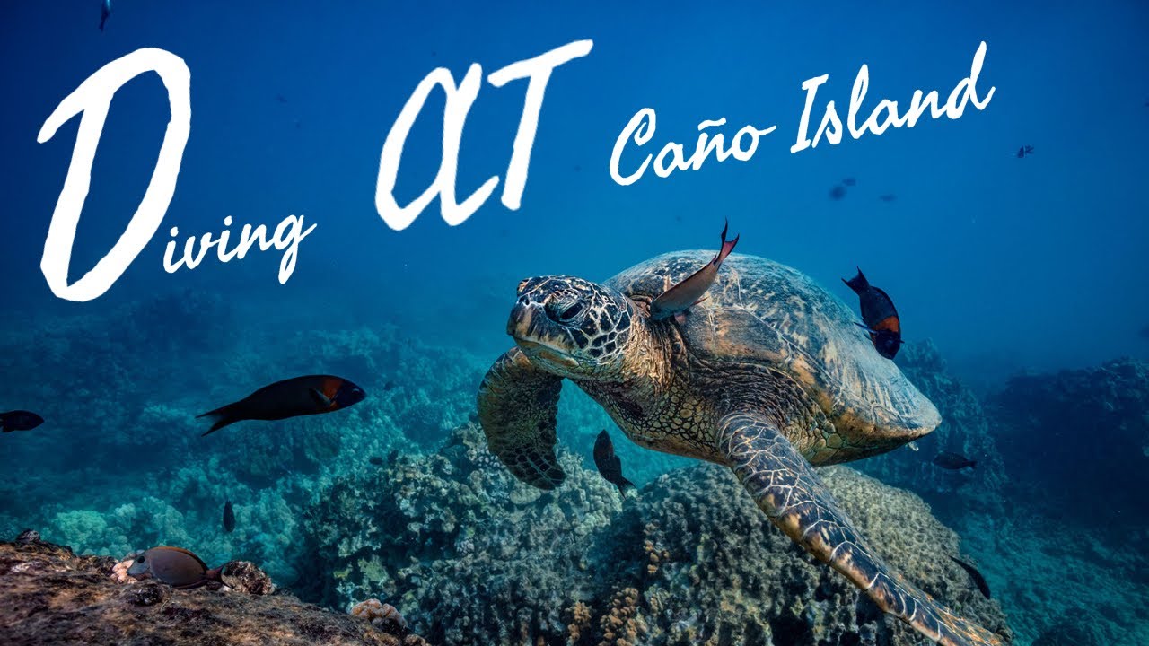 Diving at Caño Island