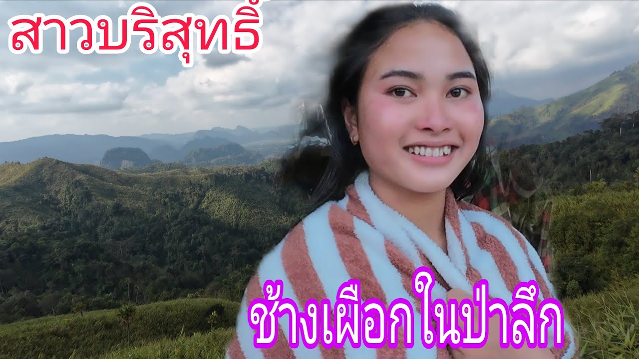 สาวบริสุทธิ์ช้างเผือกในป่าลึก
