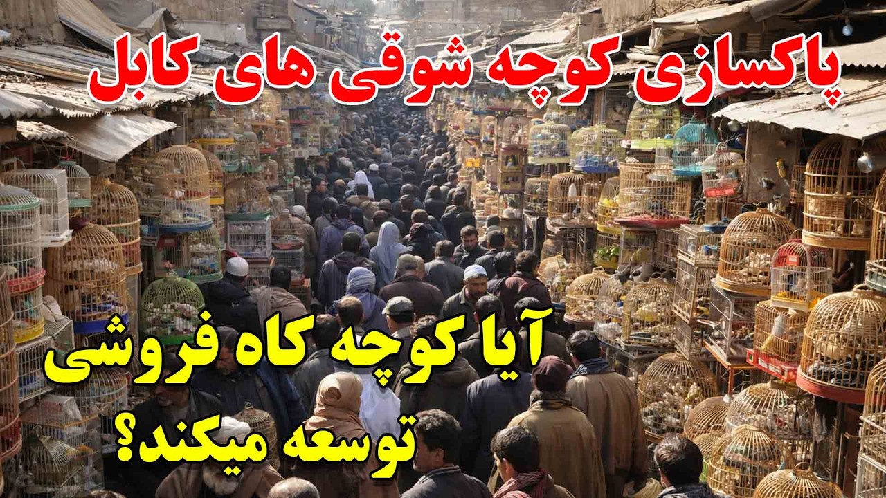 یک روز در کاه فروشی | بزرگترین بازار شوقی های افغانستان و چهره جدید بازار شوقی های کابل