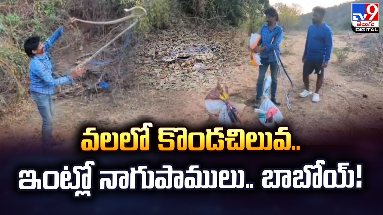 Snake Terror in Puttaparthi! : వలలో కొండచిలువ.. ఇంట్లో నాగుపాములు..బాబోయ్‌! - TV9