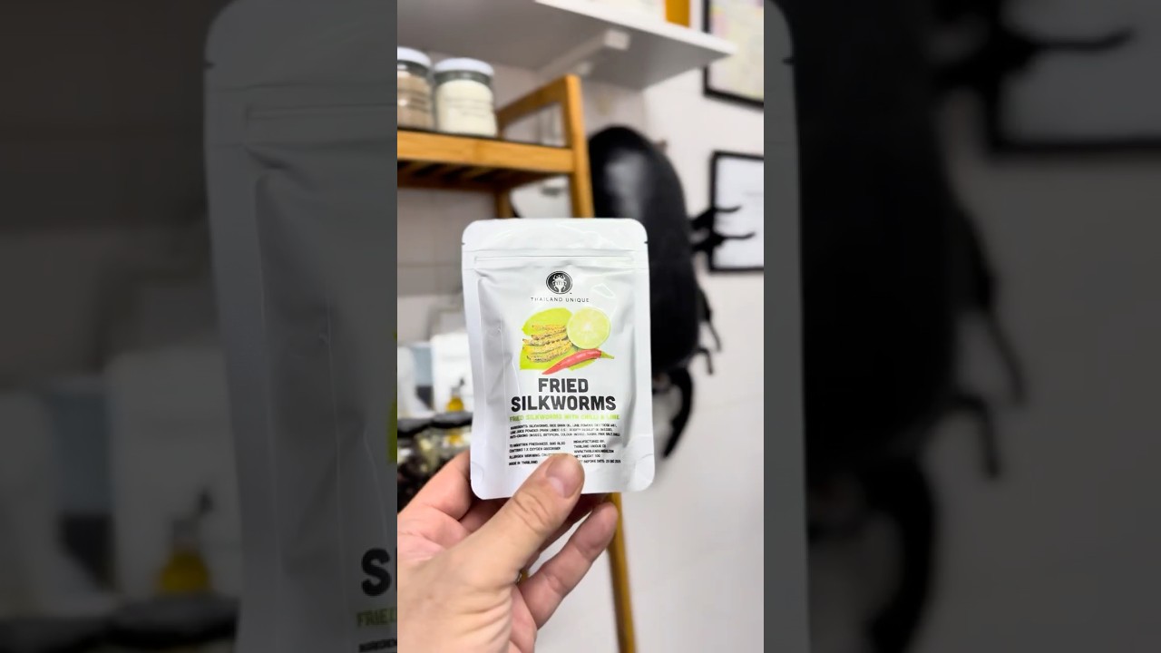 Discover Green Silkworms – The Tasty Superfood! 