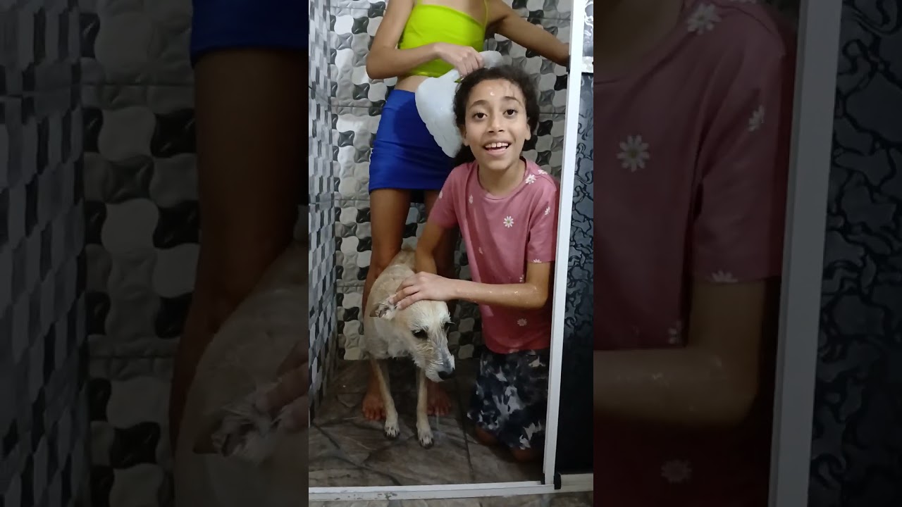 15 de fevereiro de 2026