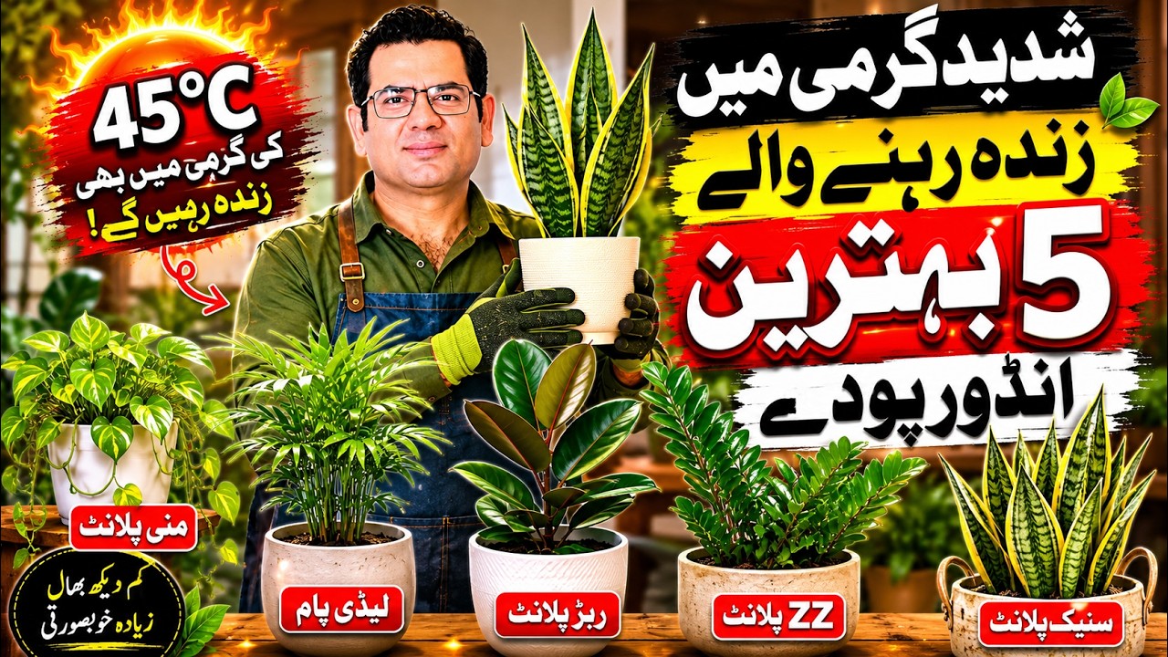 5 Indoor Plants That Survive Pakistan's Extreme Summer Heat 🌞 | Best Summer Indoor Plants