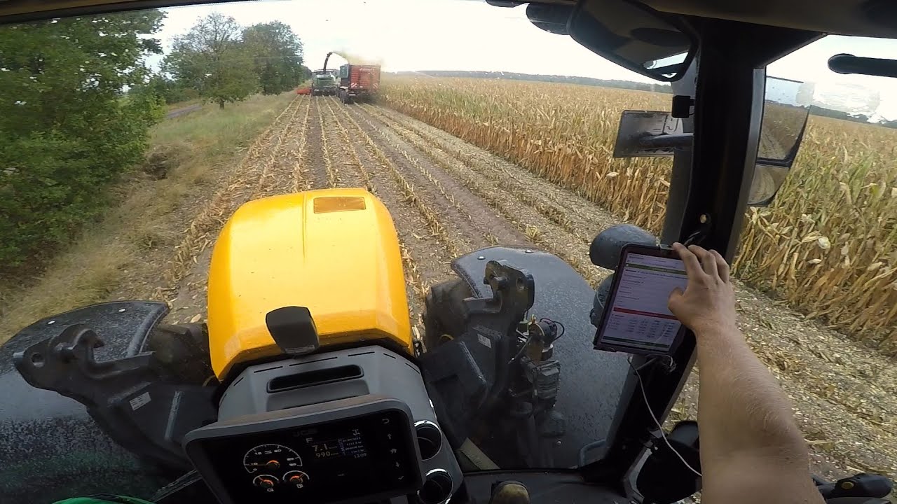 Cab View JCB Fastrac 4220 | Fliegl ASW Corn Silage Transport from field to silo | POV | Part 1