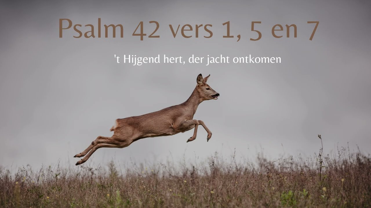 Psalm 42 vers 1, 5 en 7 - O mijn ziel, wat buigt g' u neder?