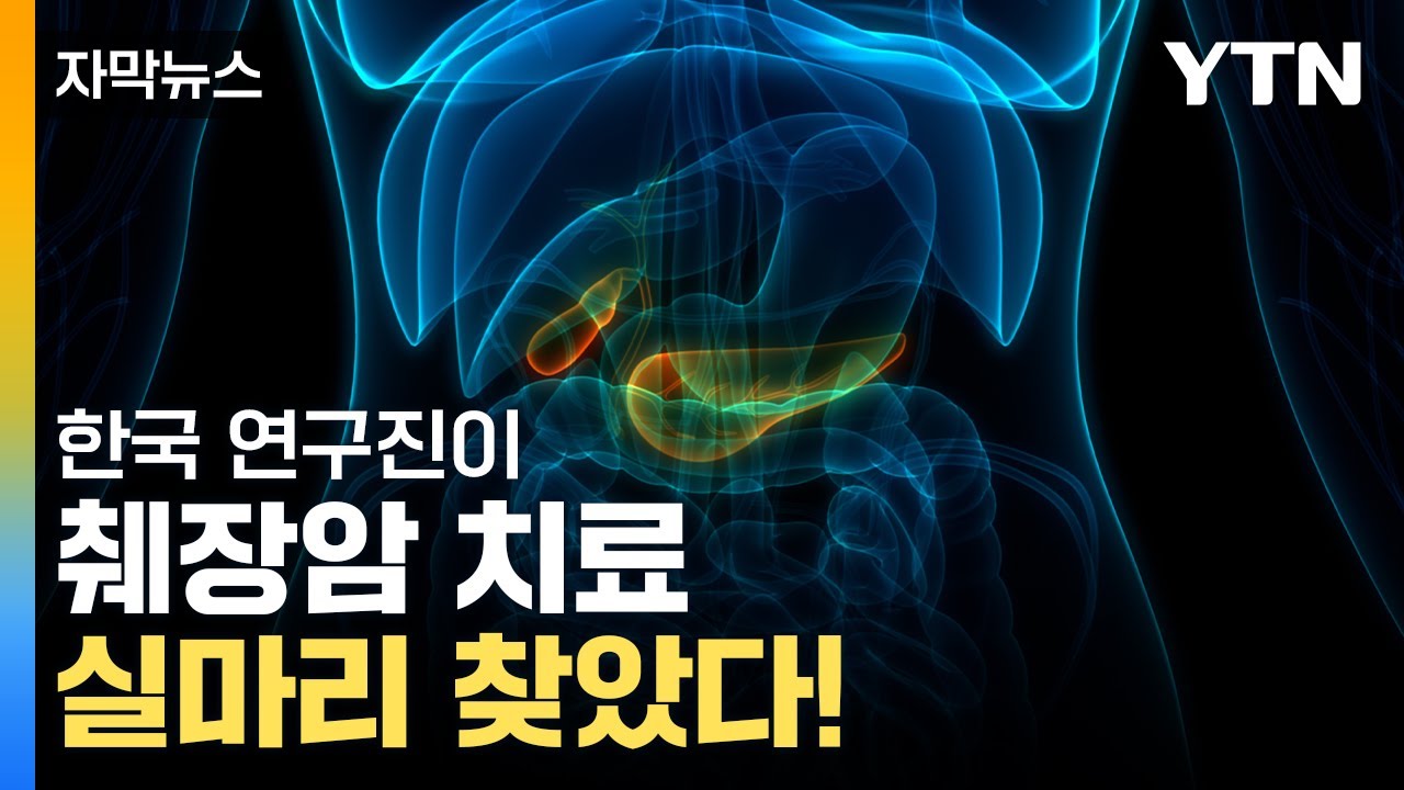 [자막뉴스] 국내 연구진이 실마리 찾았다! '최악의 암' 췌장암 정복 기대 / YTN