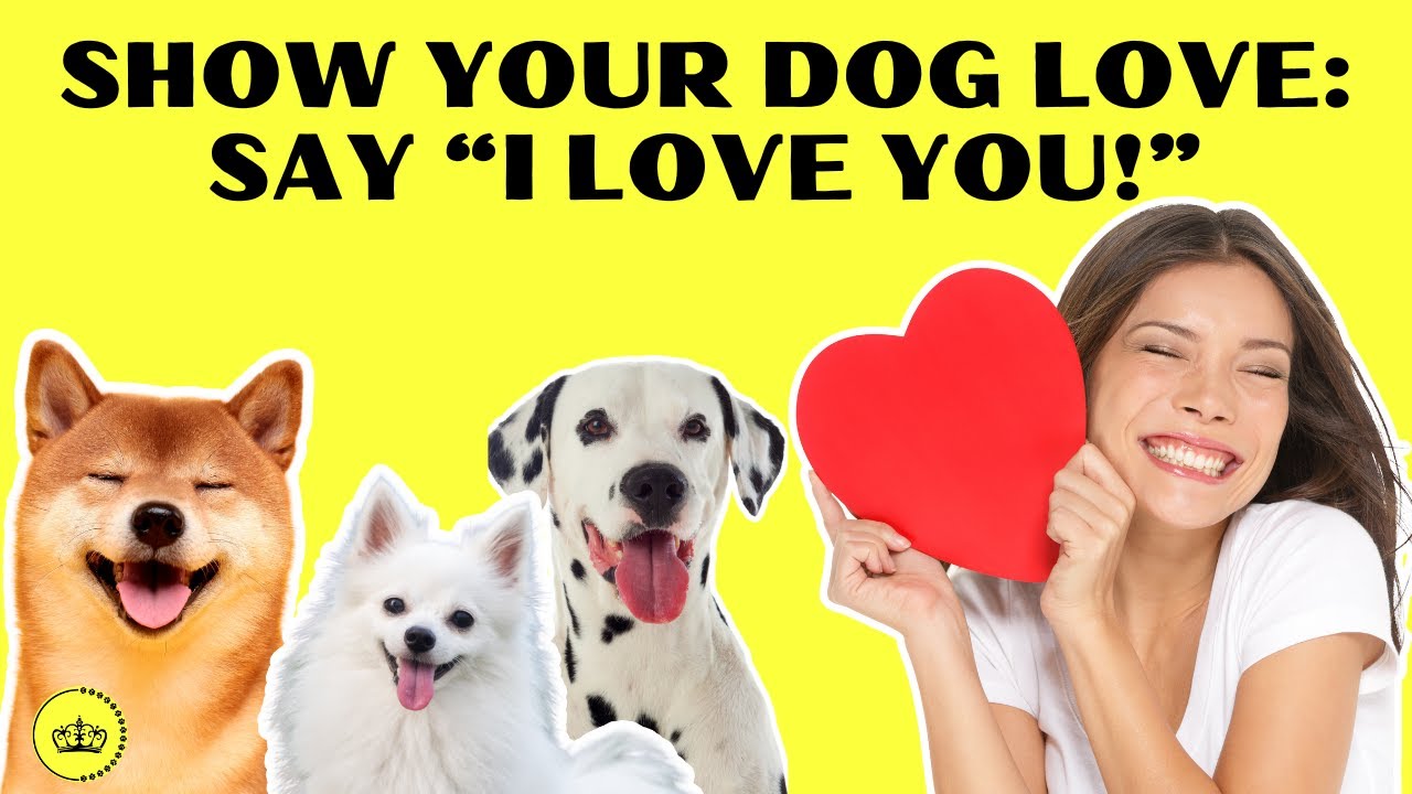 Deepening Your Bond: 10 Expert Tips for Expressing Love to Your Dog