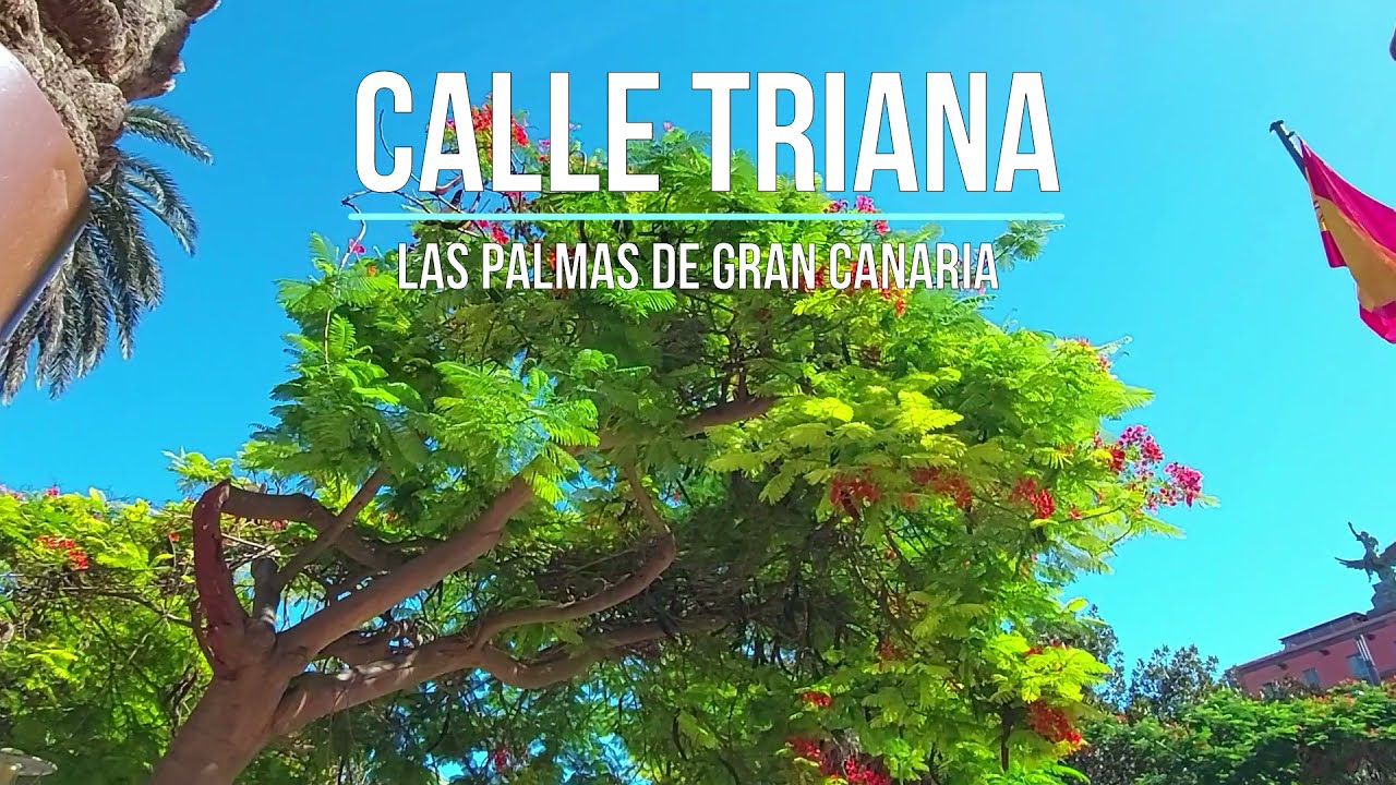 Spain. Canarias. Las Palmas de Gran Canaria. Triana street
