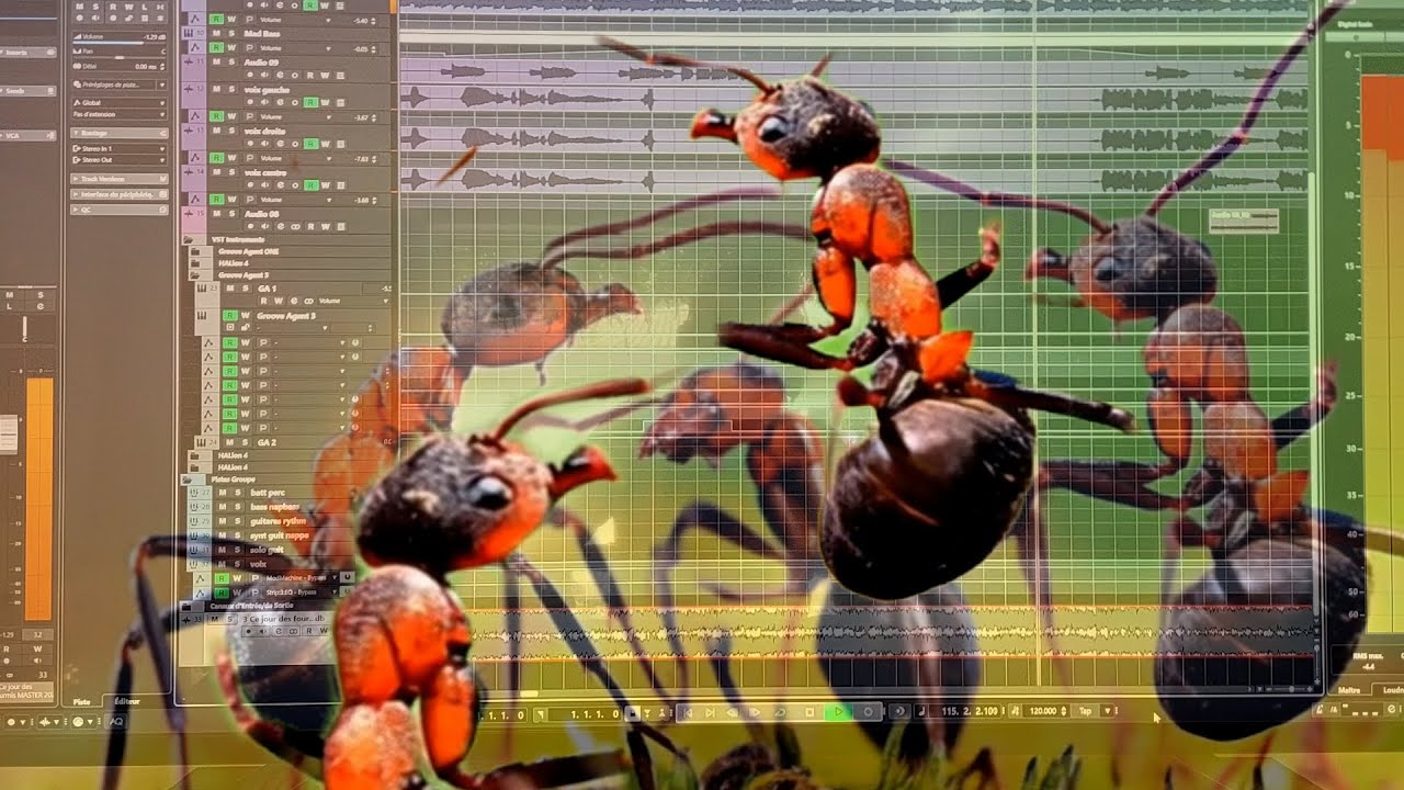 Ce jour des fourmis.