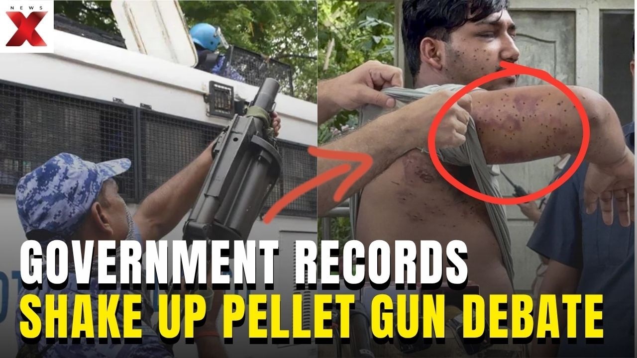 Are CJP's Pellet Gun Claims Backed By Government Records? | TSG Exclusive