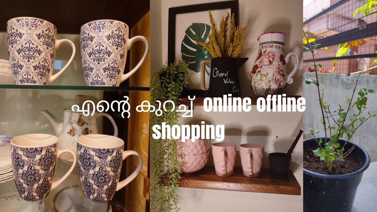 എന്റെ  കുറച്ച് online offline shopping🛍️💸 l Its all about Pragati