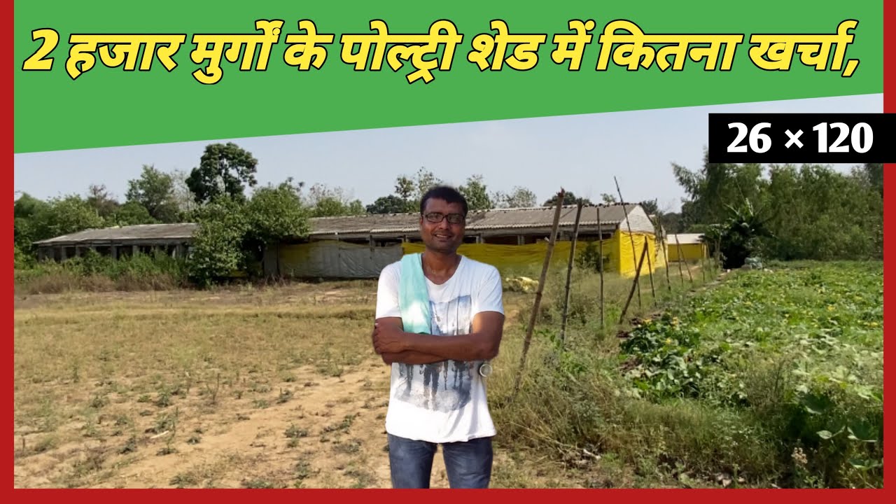 2,000/-मुर्ग़ों के लिये पोल्ट्री शेड में कितना खर्च \120 फिट लम्बा 26 फिट चौड़ा सीमेंट पिलर वाला शेड
