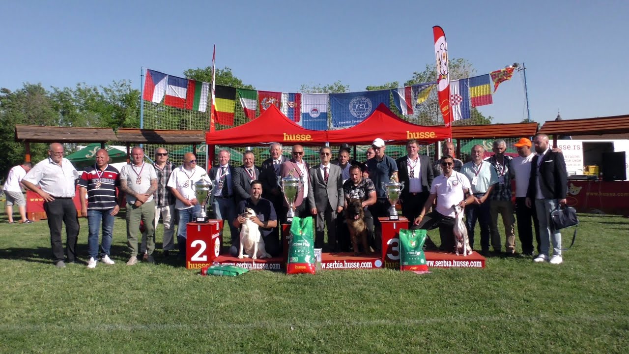 16 CACIB NATALINCI 2022