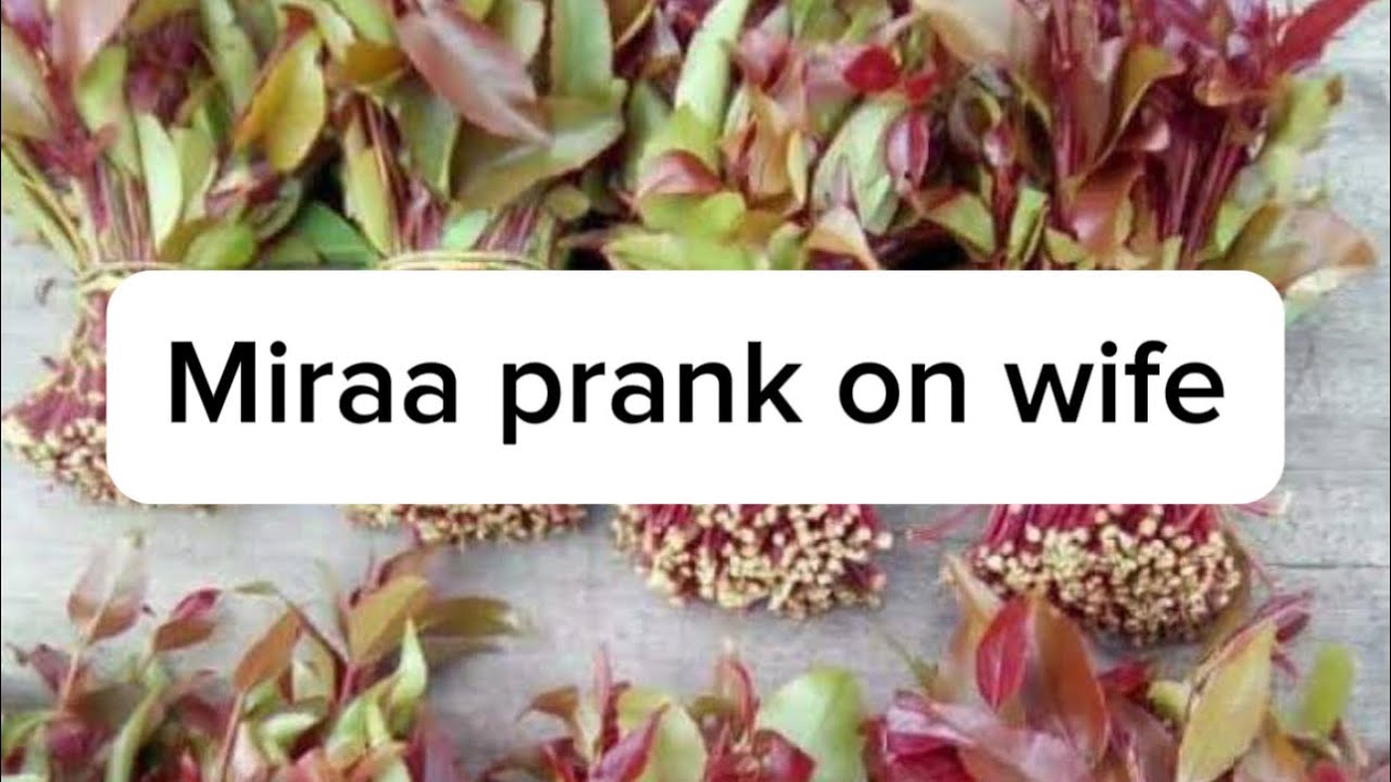 MIRAA PRANK ON MY WIFE ..THINGS WENT WRONG 😩😩