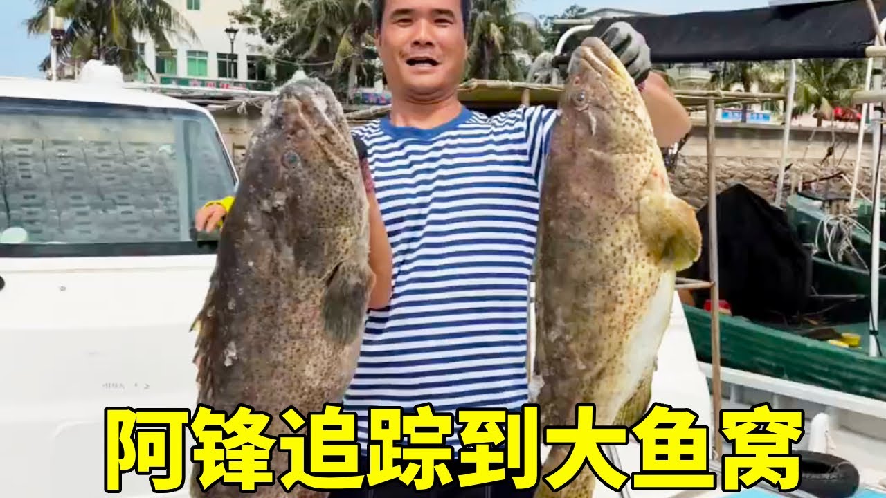 男人简单的快乐，探海遇猛货，轻松追踪到大鱼窝【探海漁人】