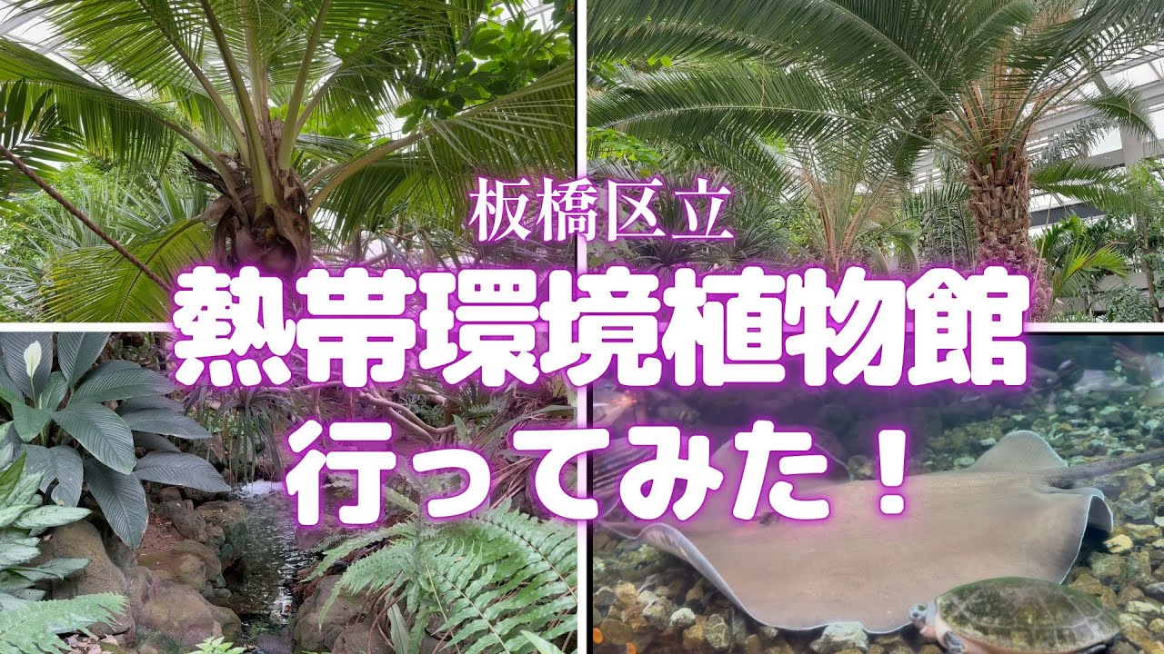 【VLOG】板橋にある熱帯環境植物館に行ってみた！