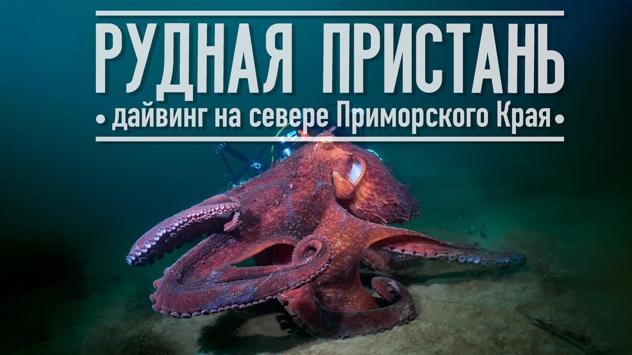 Рудная Пристань
