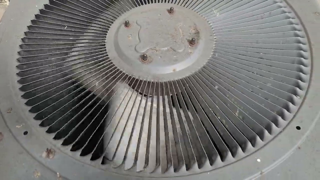 Last Video of The Goodmans