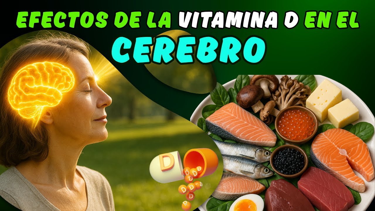 Lo que la vitamina D hace en tu cerebro te sorprenderá