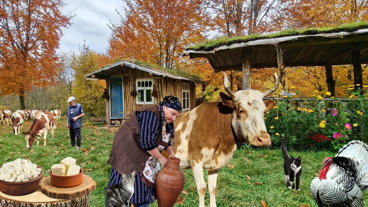 Натуральный Йогурт, Масло и Творог из Свежего Молока.