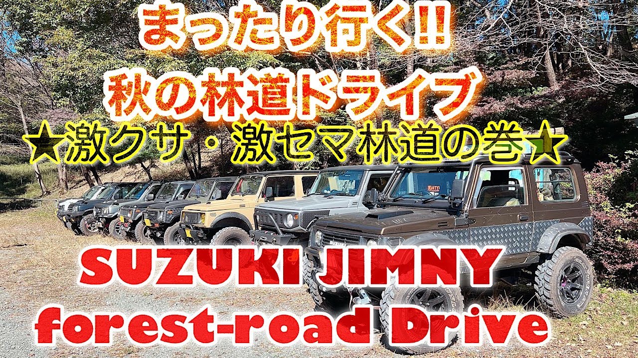 まったり行く!!秋の林道ドライブ【ジムニー】【林道】【Suzukijimny】【ja11】