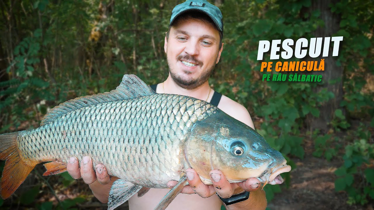 PESCUIT PE CANICULA PE RAU SALBATIC/ CRAP SI CARAS LA METHOD FEEDER