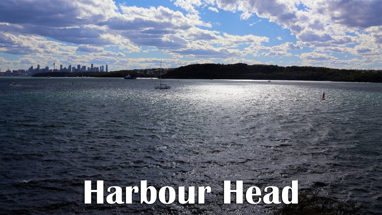 1 часов гавани Сиднея с South Head | Лодки и спокойная бухта