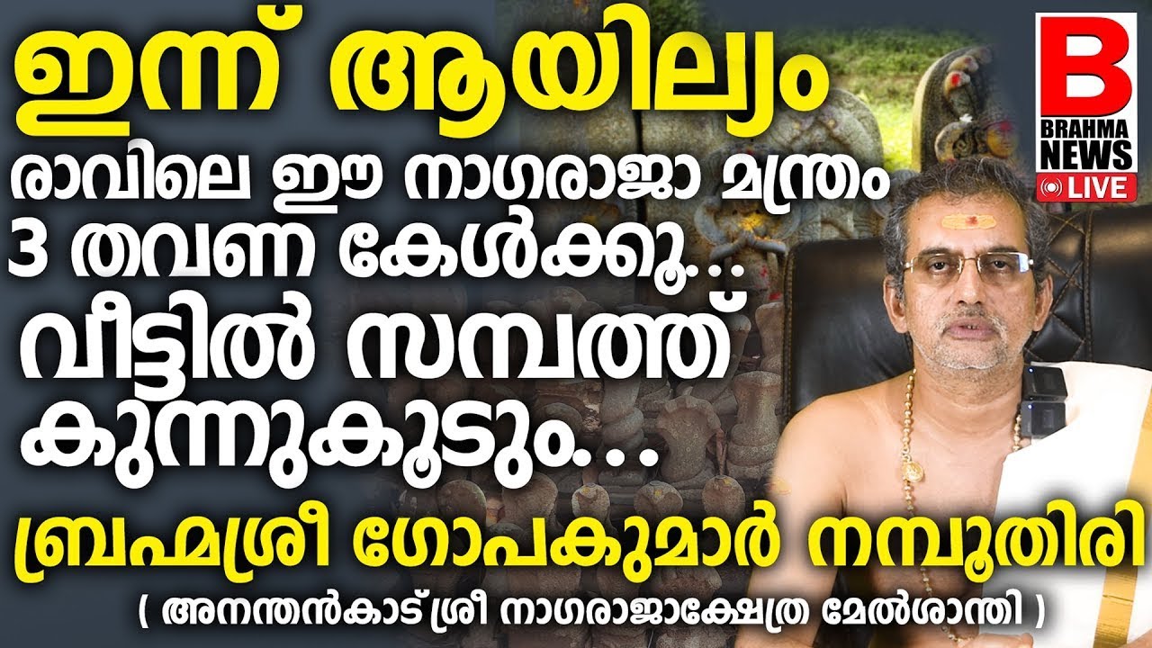 മക്കള്‍ക്ക് വേണ്ടി അമ്മമാര്‍ ഈ 2 വരി നാമംദിവസവും ജപിച്ചോളൂ ഫലം ഉറപ്പ്! GURUVAYUR EKADASICHELA DHINAM