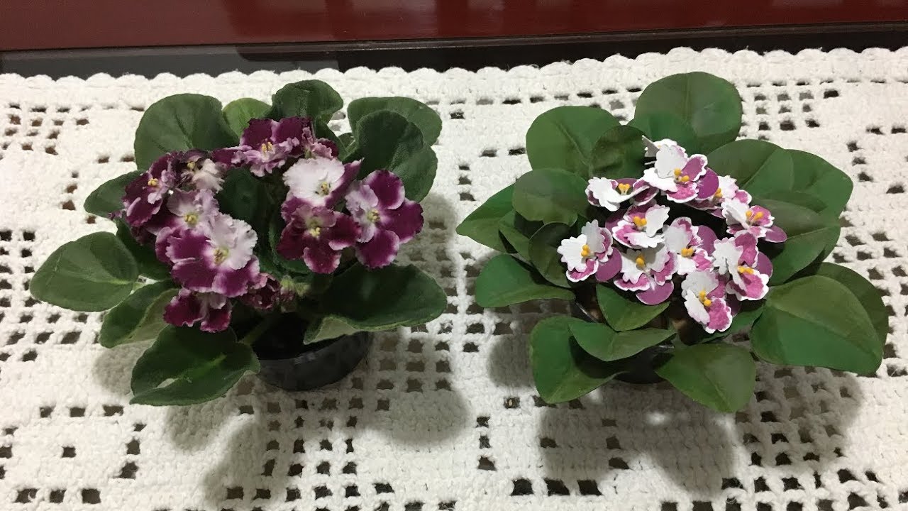 DIY: Violetas de garrafa pet VERSÃO 2 🌸