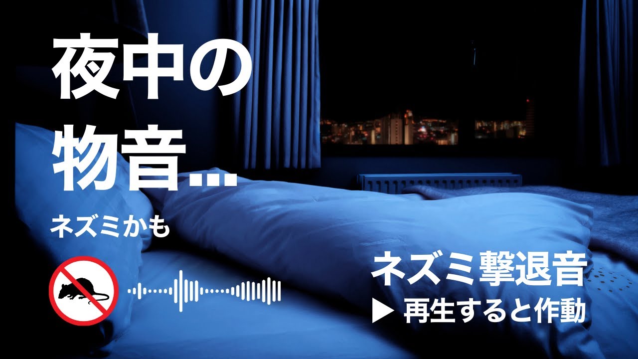 夜中の物音対策。ネズミ撃退音(12時間)。就寝前に流して朝まで効果持続