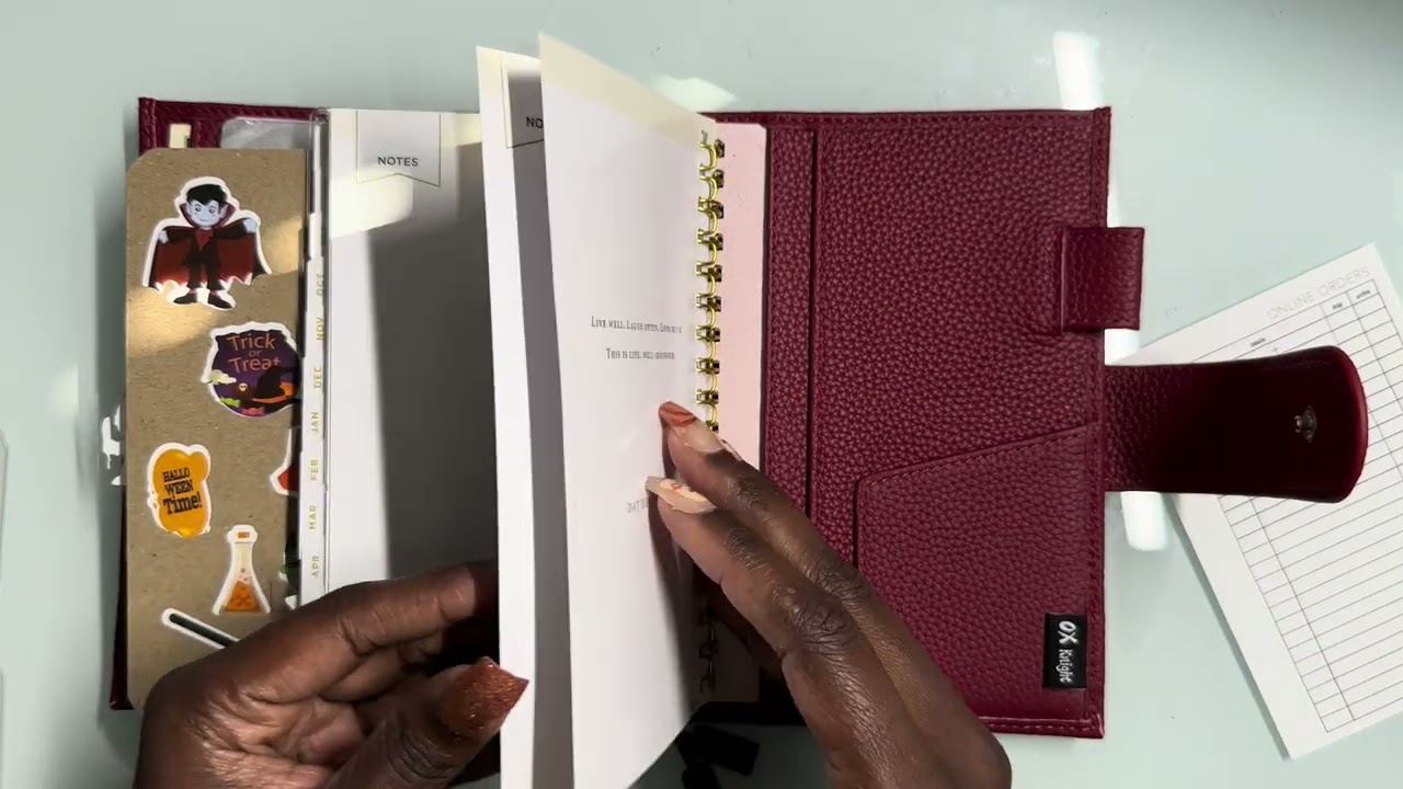 Functional & Cute! 🌟 Day Designer Planner + Pen & Gear Notebook Review | Ox Knight Cover Edition